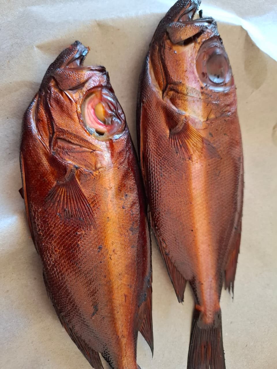 IKAN ASAP B27